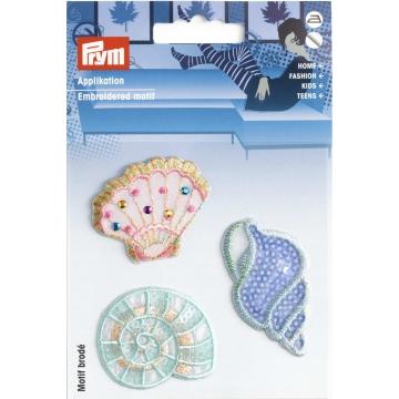Applikation Muscheln