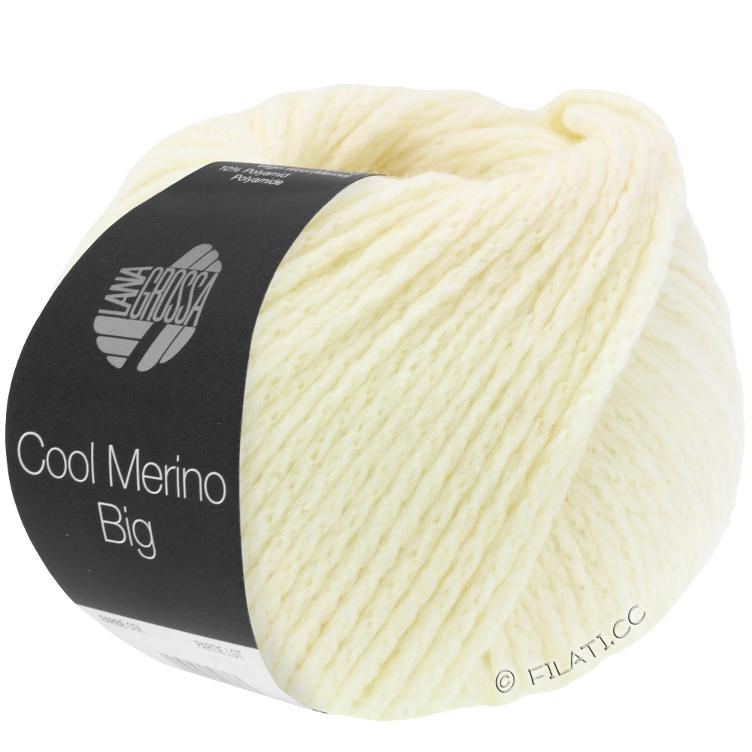 Cool Merino big 201 nature
