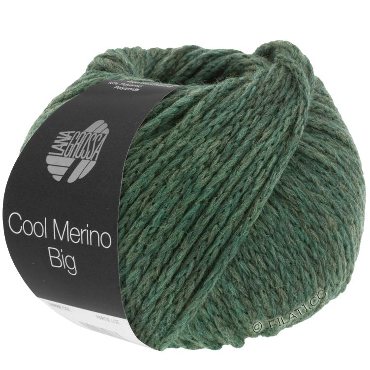 Cool Merino big 205 moosgrün