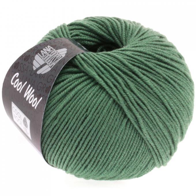 Cool Wool 2021 dunkles graugrün