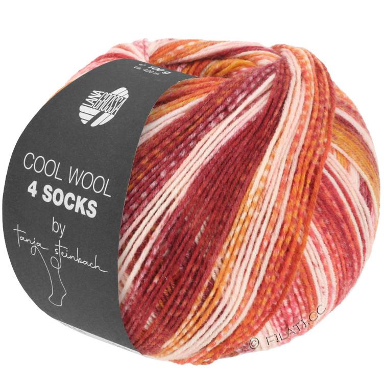 Cool Wool 4 Socks rottöne by Tanja Steinbach 77515blautöne