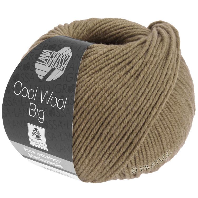 Cool Wool Big 1011 braun