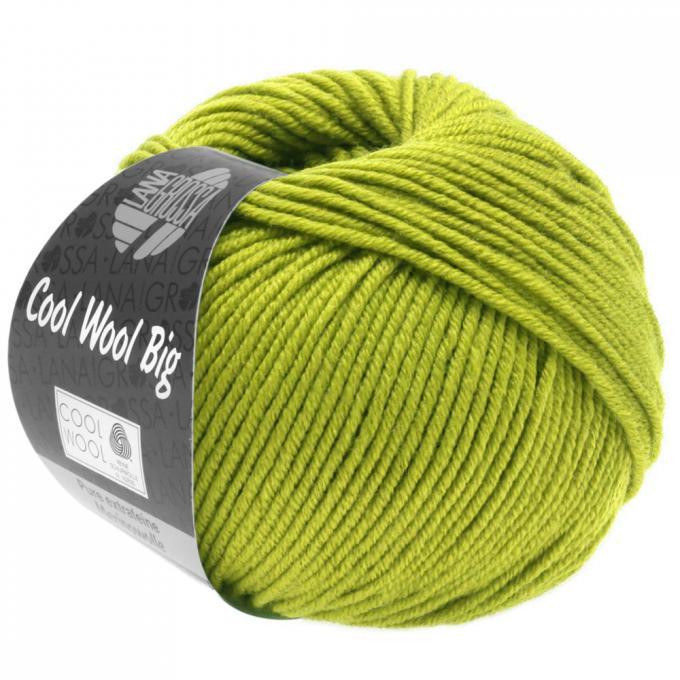 *Cool Wool Big 972 kiwi